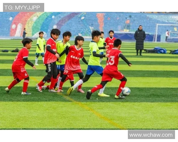 绿茵逐梦新时代世界足球风云与激情碰撞盛宴